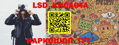 дмт Аргун