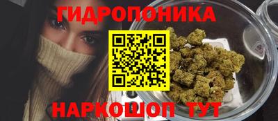 дмт Аргун